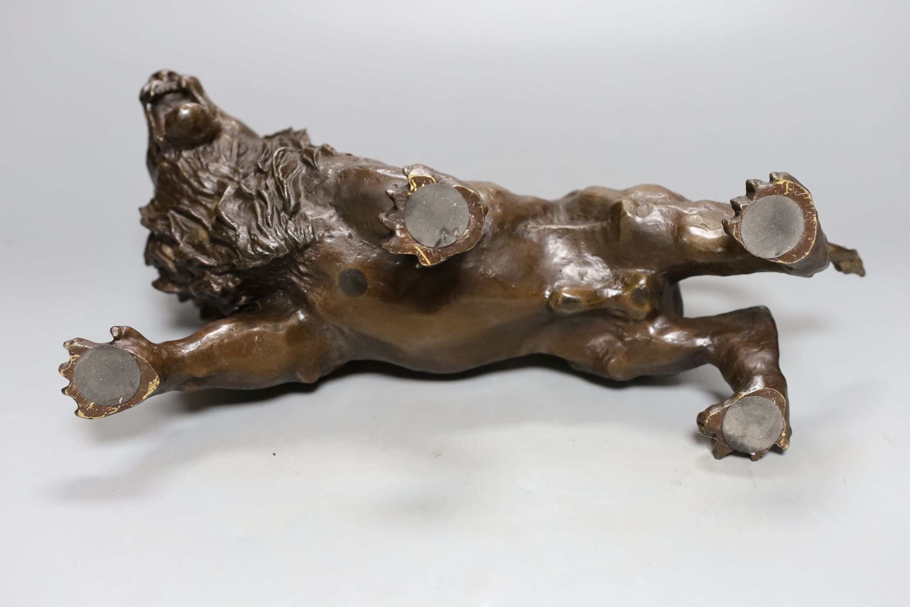 A bronze lion, bearing a signature, Rodin, 31cm.
